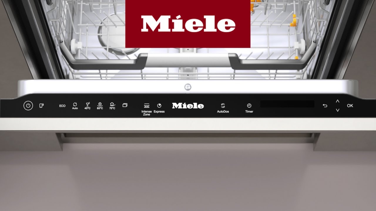 miele spülmaschinenreiniger